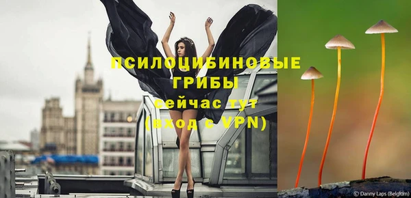 марки lsd Новодвинск