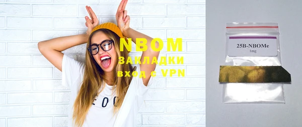 прущий лед Новозыбков