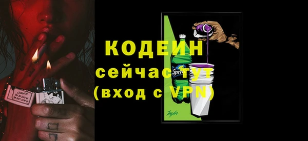 прущий лед Новозыбков
