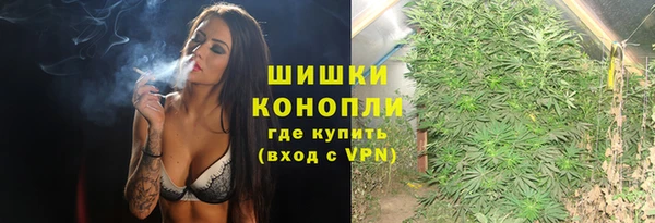 прущий лед Новозыбков