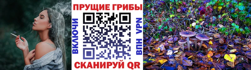 Купить  Изобильный  Галлюциногенные грибы MAGIC MUSHROOMS 